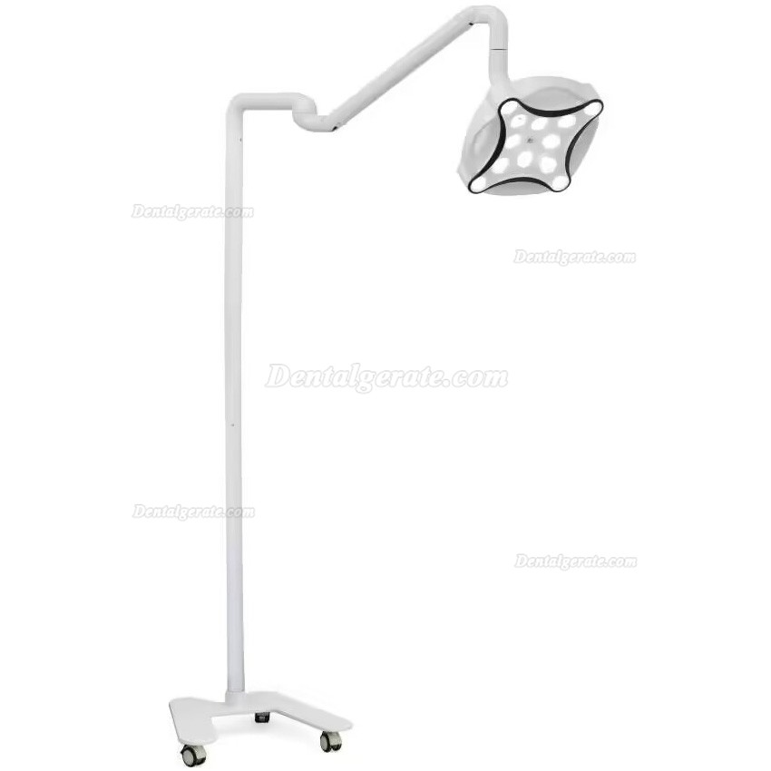 Micare JD1700L LED Minor Chirurgische Lampe Schattenlose Betriebslampe f&uuml;r Zahnkliniken